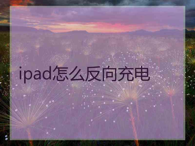 ipad怎么反向充电