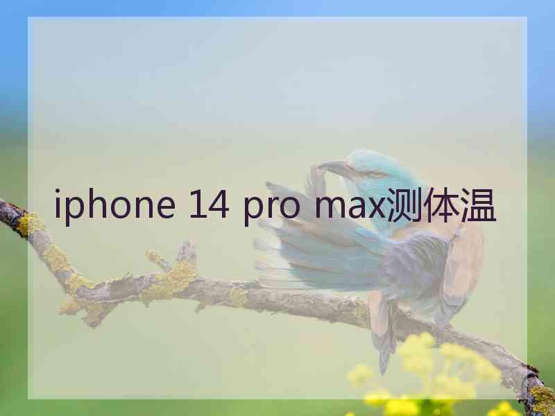 iphone 14 pro max测体温