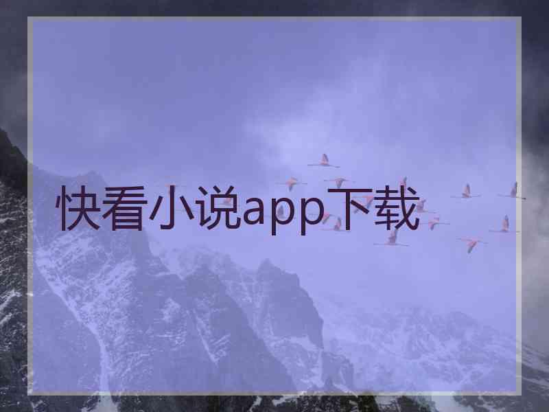 快看小说app下载