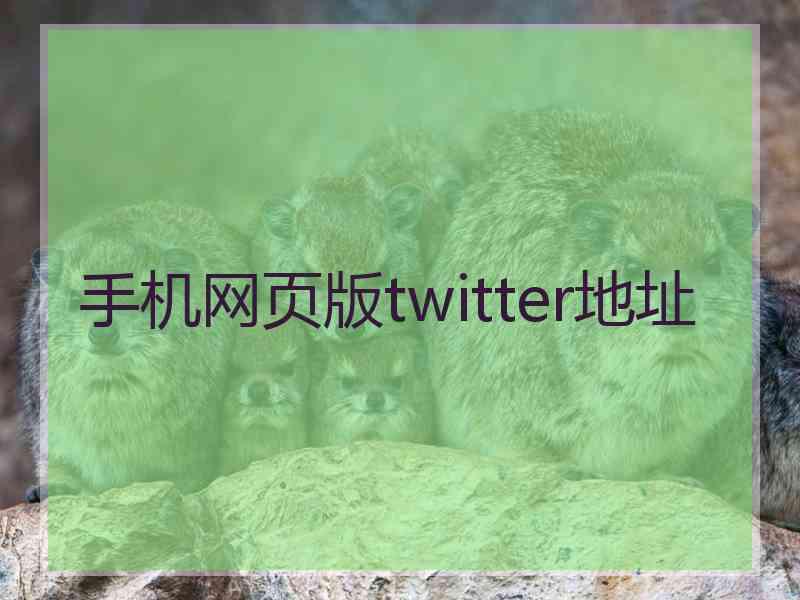 手机网页版twitter地址