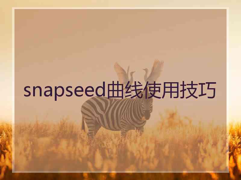 snapseed曲线使用技巧