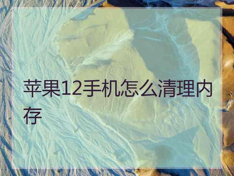 苹果12手机怎么清理内存