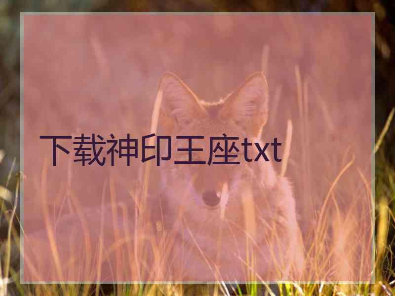 下载神印王座txt