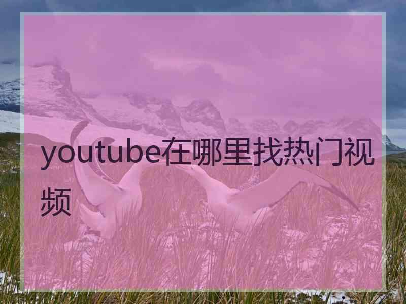 youtube在哪里找热门视频