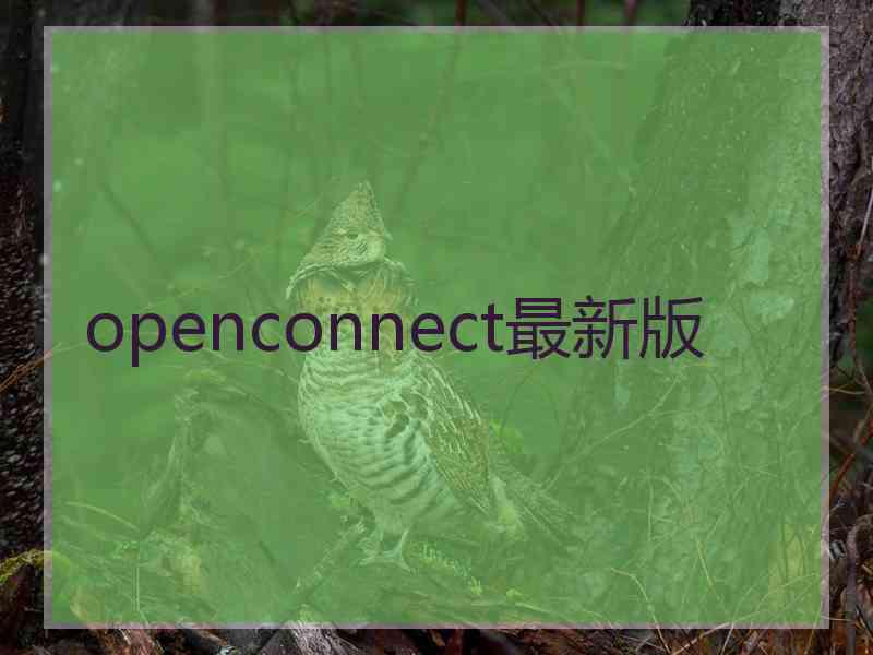 openconnect最新版