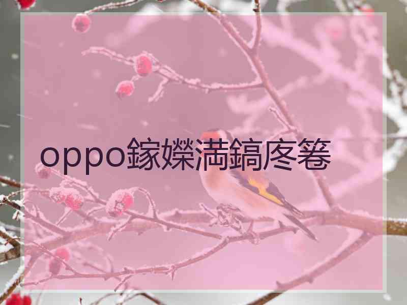 oppo鎵嬫満鎬庝箞