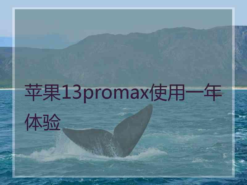 苹果13promax使用一年体验