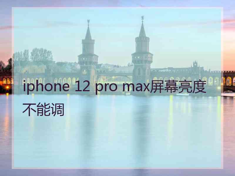 iphone 12 pro max屏幕亮度不能调