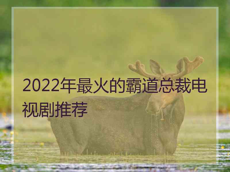 2022年最火的霸道总裁电视剧推荐