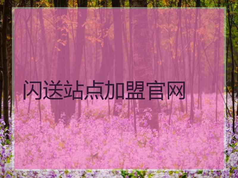 闪送站点加盟官网