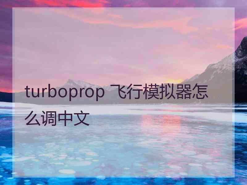 turboprop 飞行模拟器怎么调中文