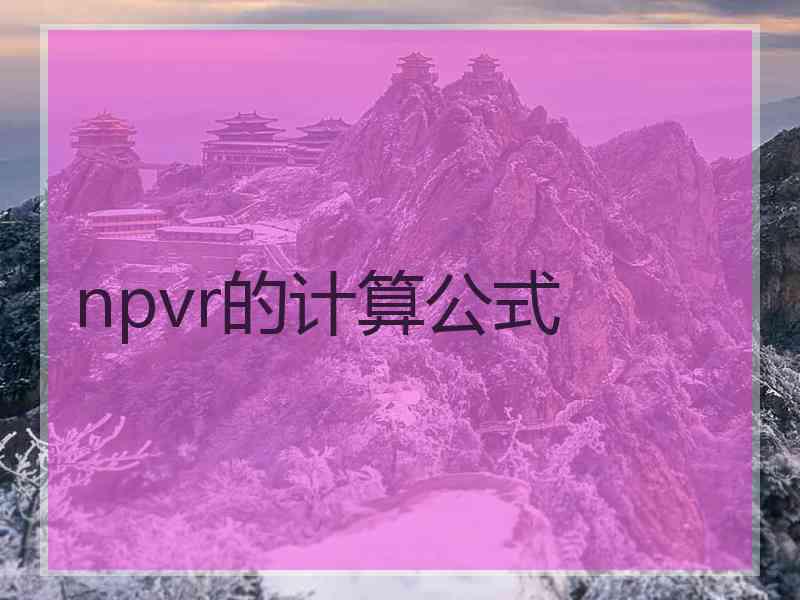 npvr的计算公式