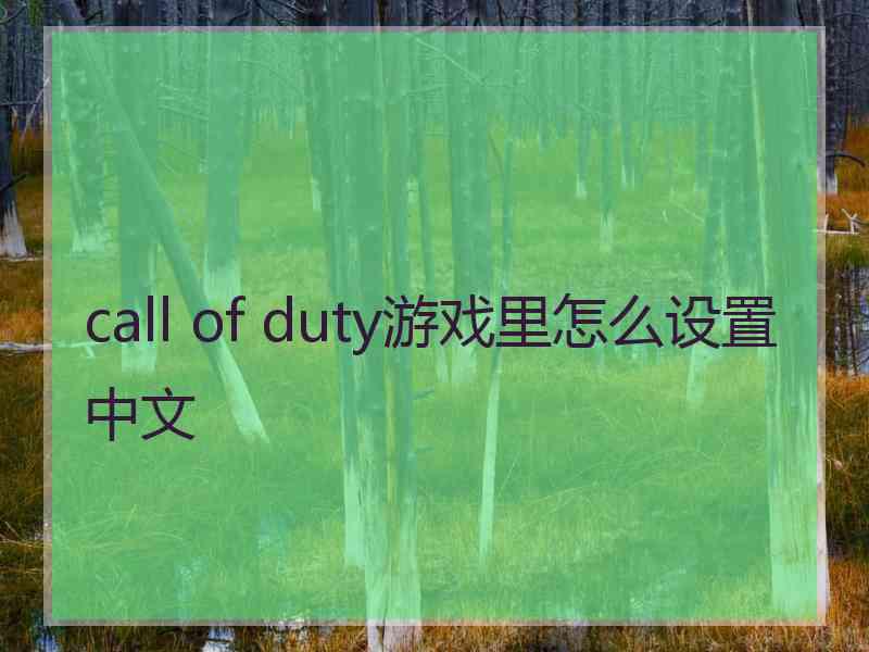 call of duty游戏里怎么设置中文