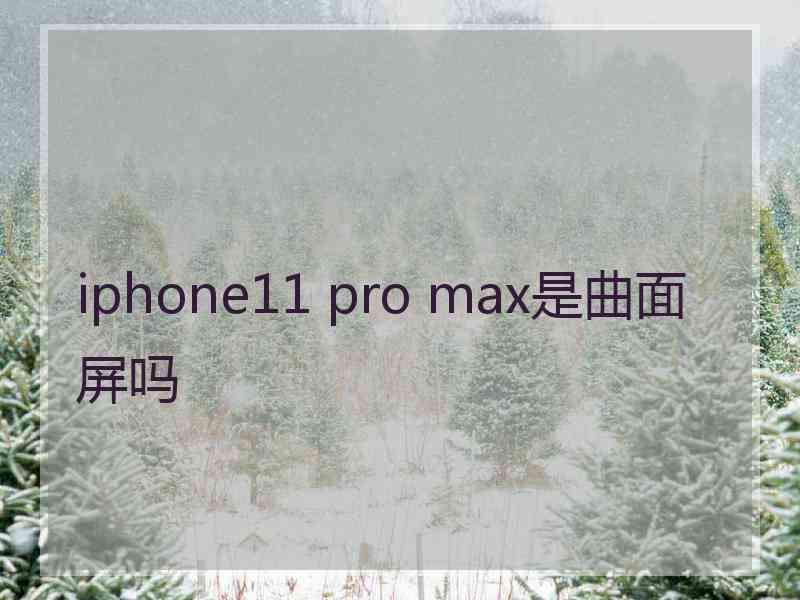 iphone11 pro max是曲面屏吗