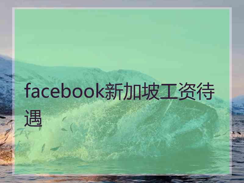 facebook新加坡工资待遇