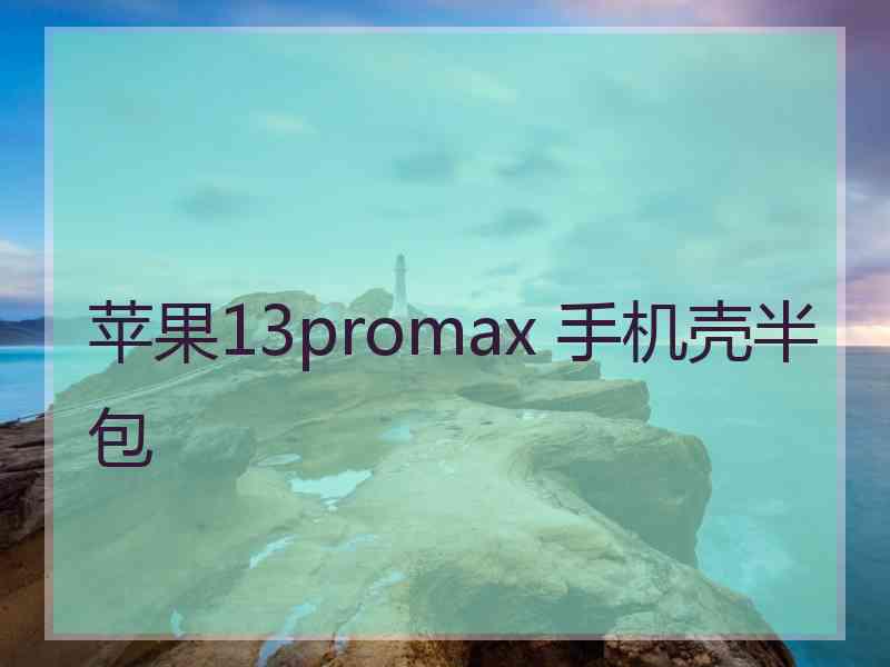 苹果13promax 手机壳半包