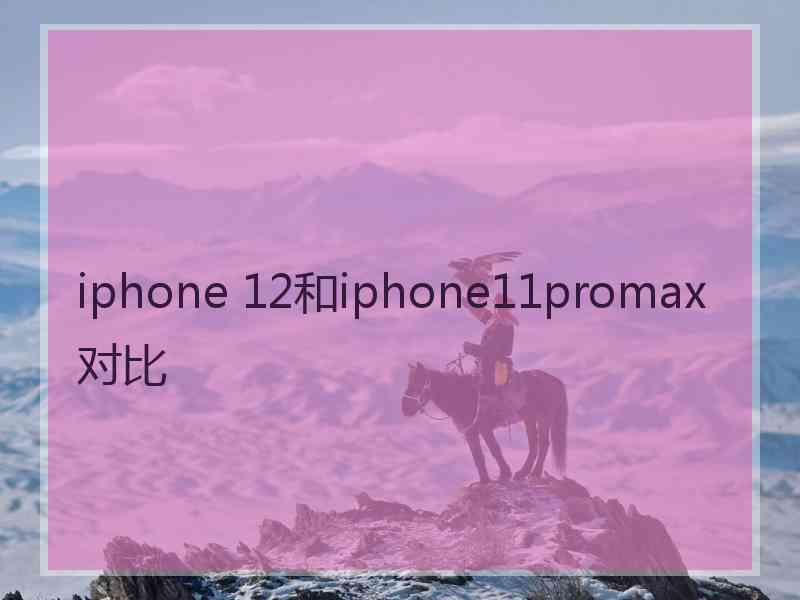 iphone 12和iphone11promax对比