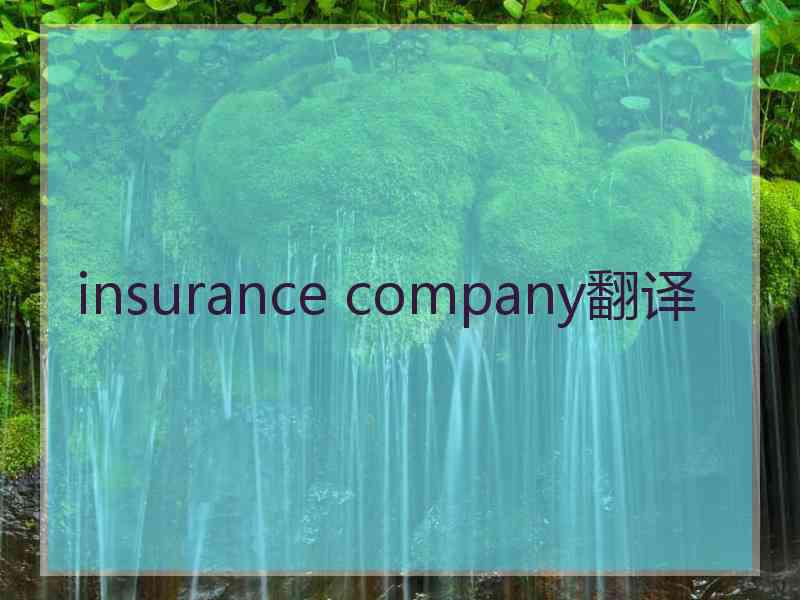 insurance company翻译