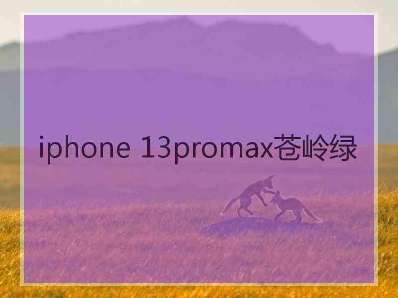 iphone 13promax苍岭绿