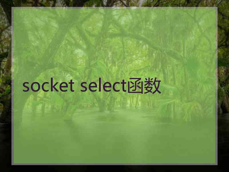 socket select函数