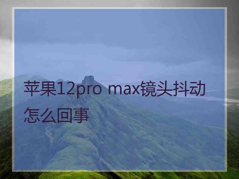 苹果12pro max镜头抖动怎么回事