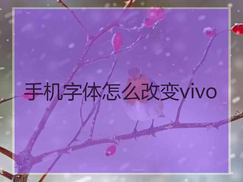 手机字体怎么改变vivo