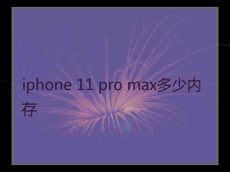 iphone 11 pro max多少内存