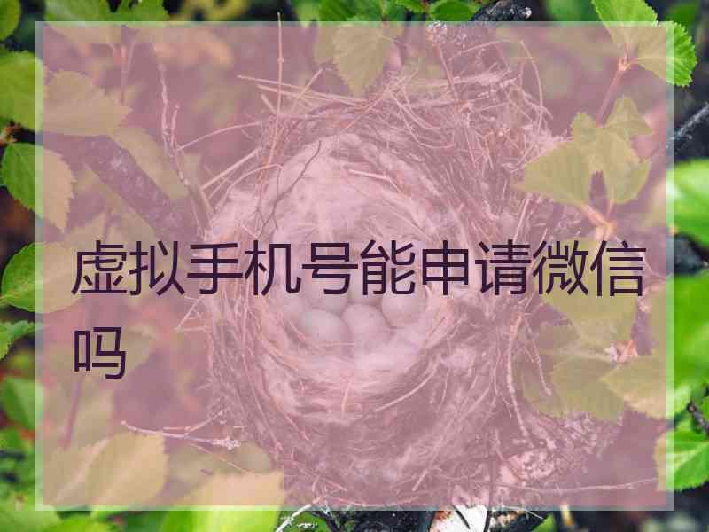 虚拟手机号能申请微信吗