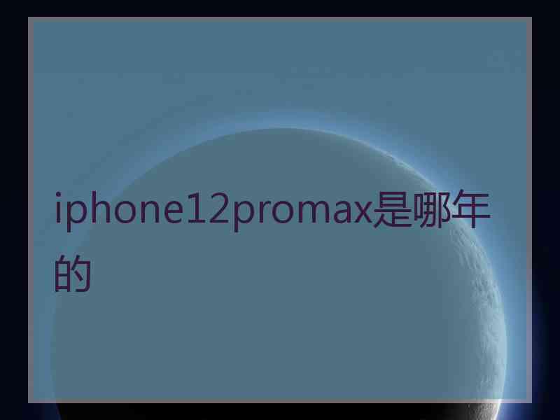 iphone12promax是哪年的