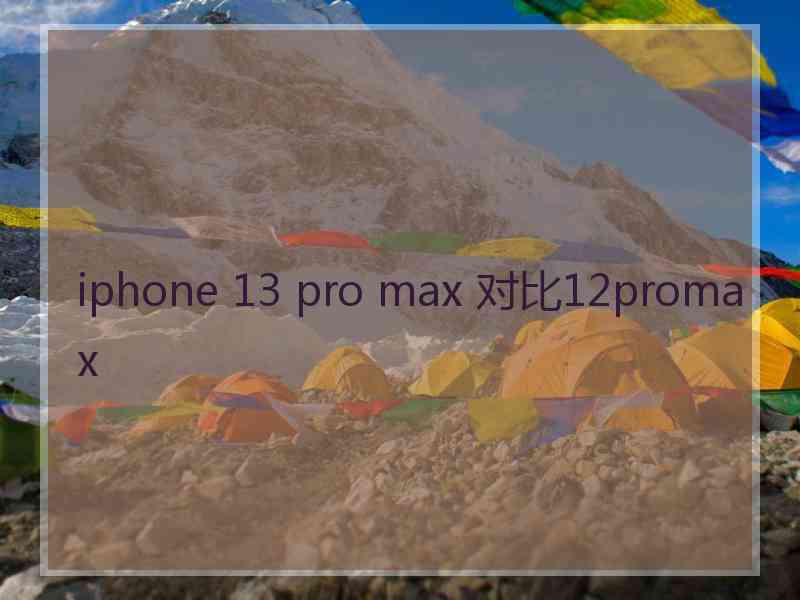 iphone 13 pro max 对比12promax