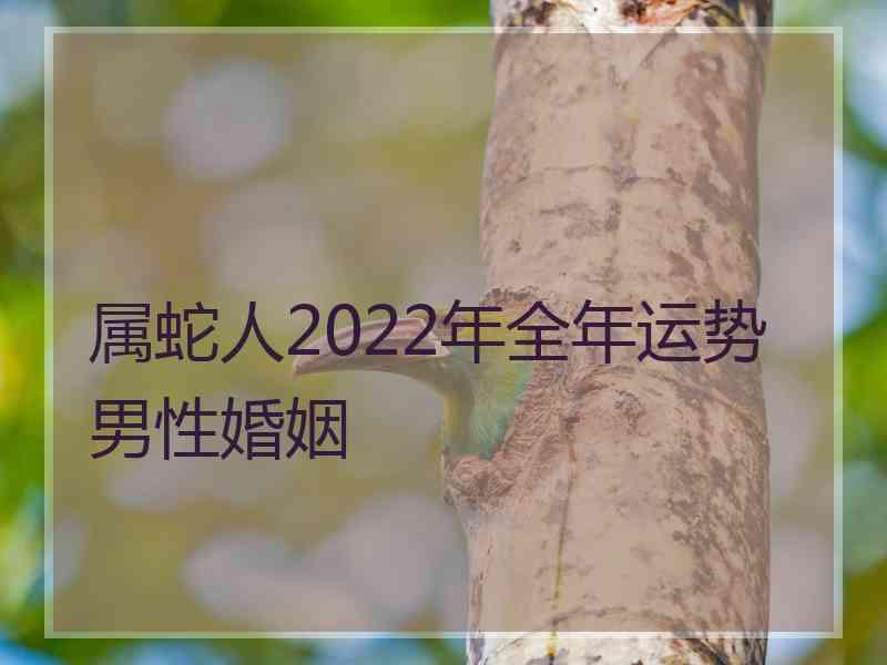 属蛇人2022年全年运势男性婚姻