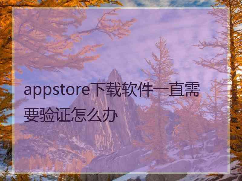 appstore下载软件一直需要验证怎么办