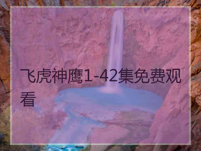 飞虎神鹰1-42集免费观看