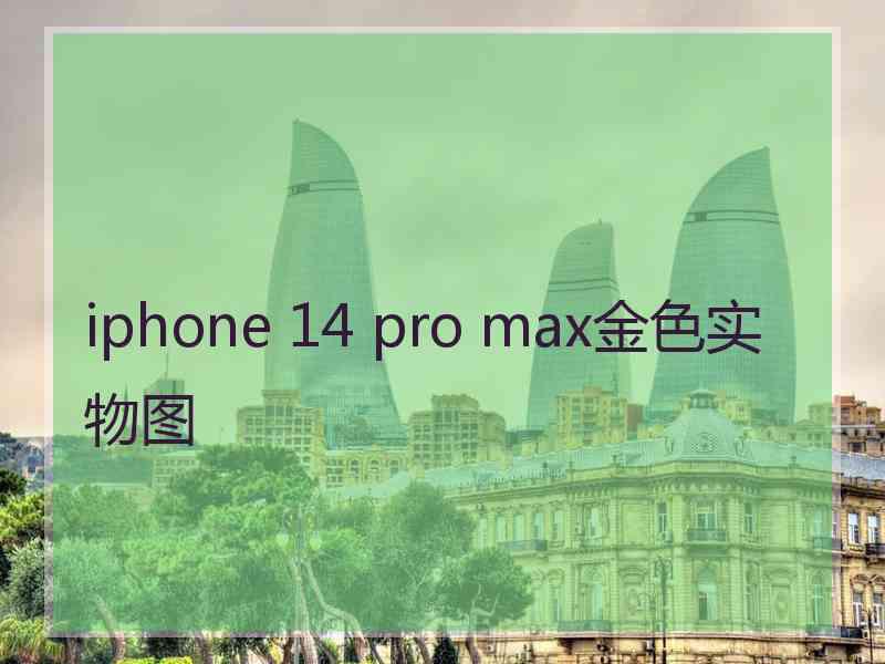 iphone 14 pro max金色实物图