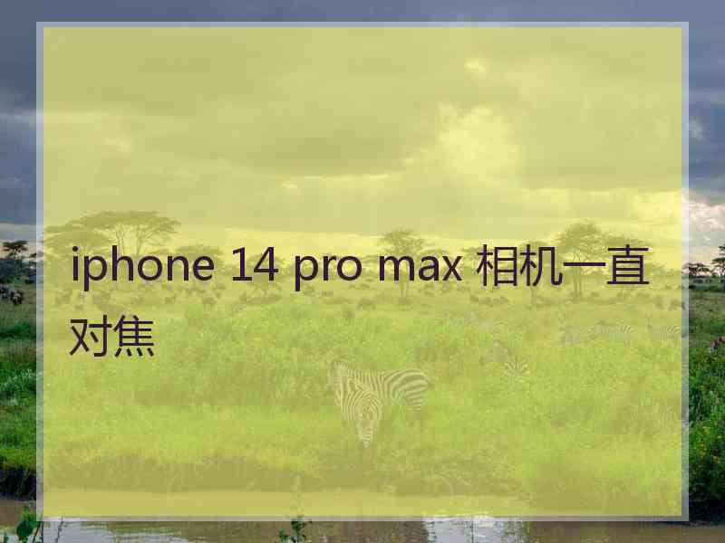 iphone 14 pro max 相机一直对焦