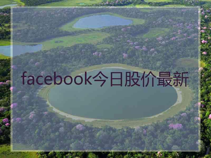 facebook今日股价最新