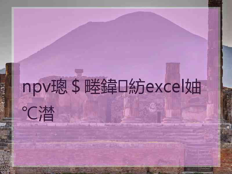 npv璁＄畻鍏紡excel妯℃澘