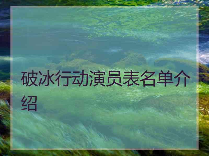 破冰行动演员表名单介绍