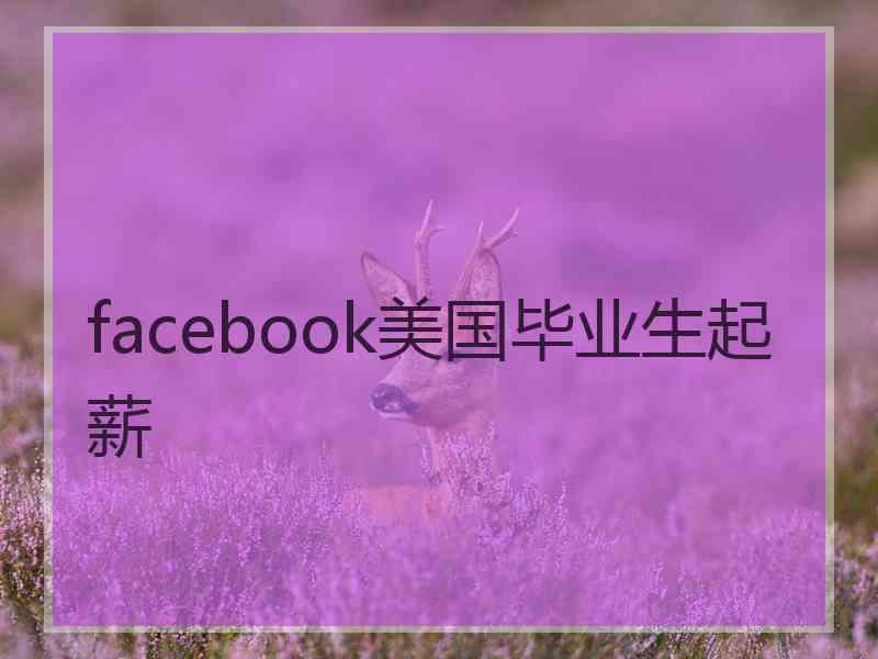 facebook美国毕业生起薪