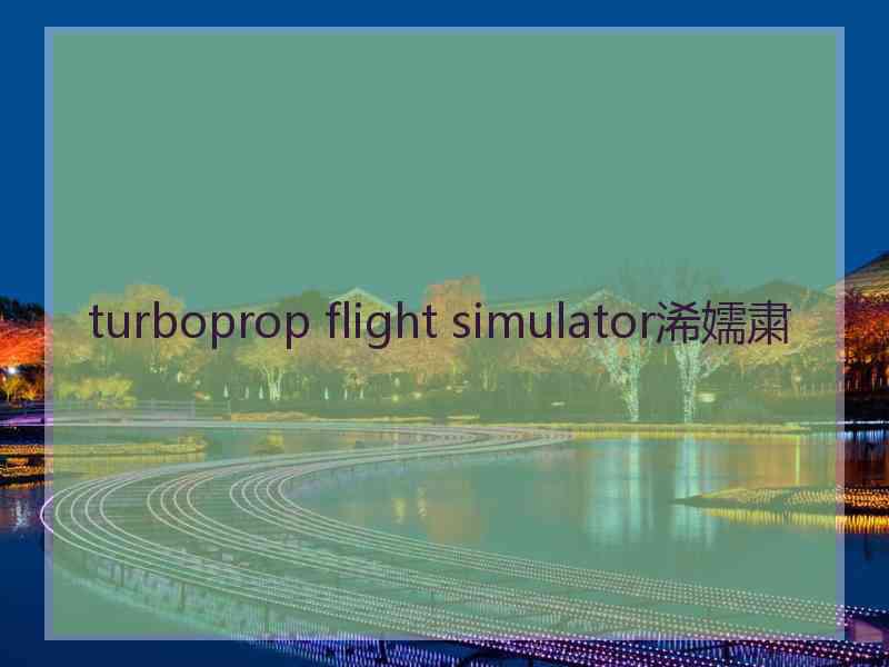 turboprop flight simulator浠嬬粛