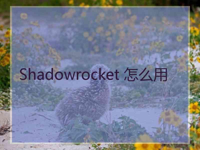 Shadowrocket 怎么用