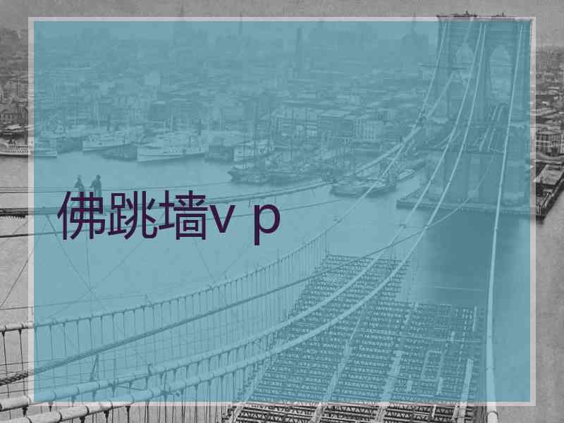 佛跳墙v p