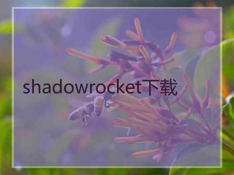 shadowrocket下载