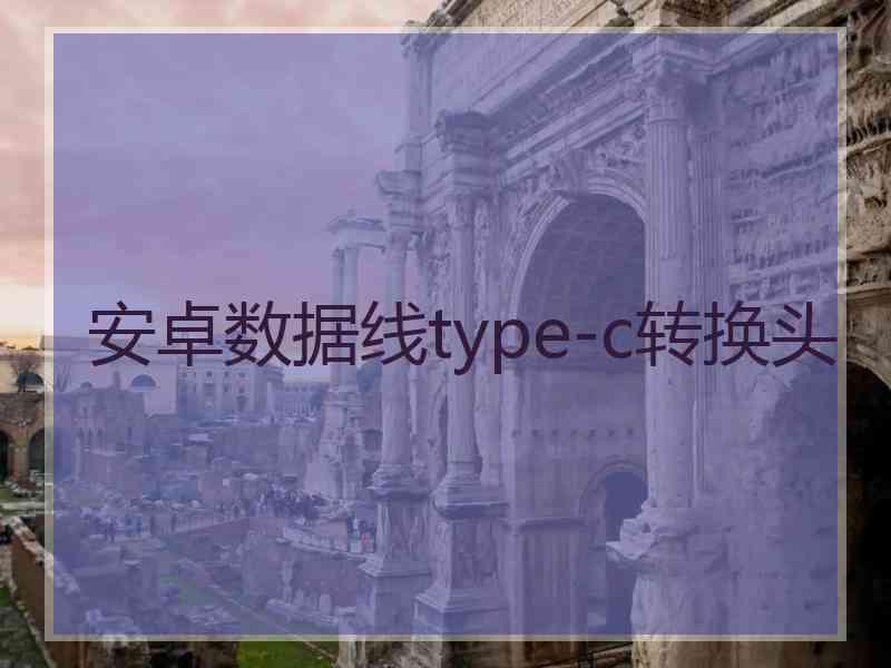 安卓数据线type-c转换头