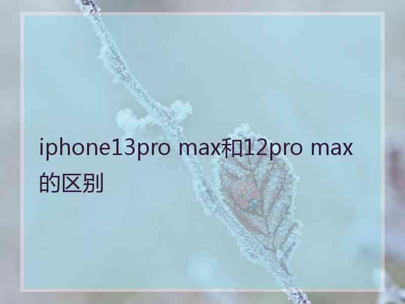 iphone13pro max和12pro max的区别