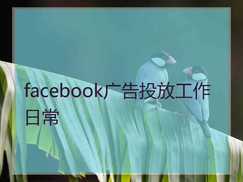 facebook广告投放工作日常