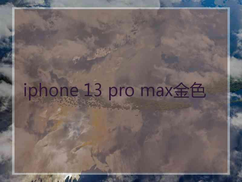 iphone 13 pro max金色