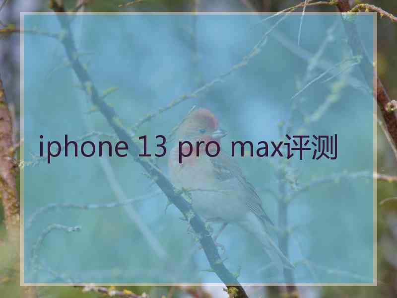 iphone 13 pro max评测