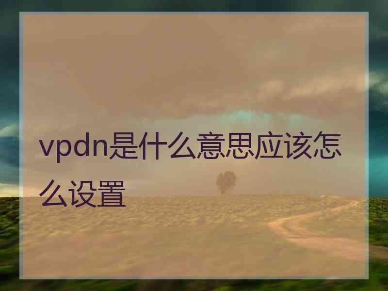 vpdn是什么意思应该怎么设置