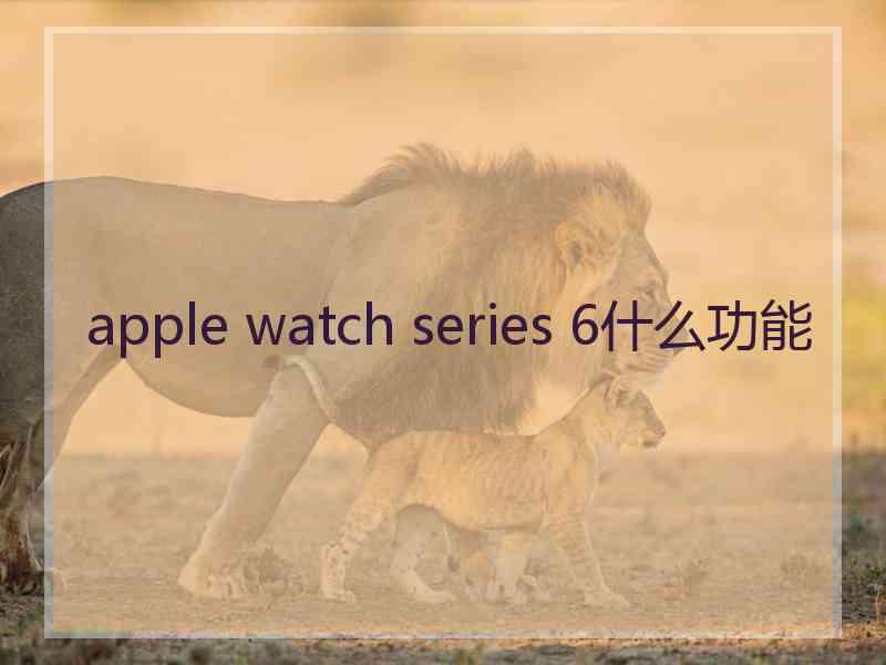 apple watch series 6什么功能